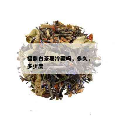 福鼎白茶要冷藏吗，多久，多少度