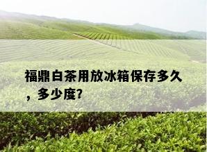 福鼎白茶用放冰箱保存多久，多少度？