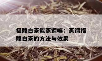 福鼎白茶能蒸馏嘛：蒸馏福鼎白茶的方法与效果