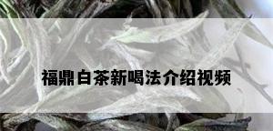 福鼎白茶新喝法介绍视频