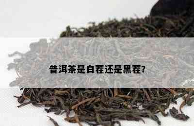 普洱茶是白茬还是黑茬？