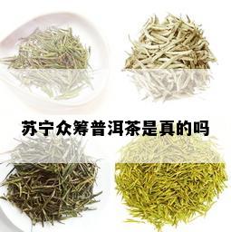 苏宁众筹普洱茶是真的吗