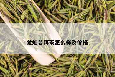 龙灿普洱茶怎么样及价格