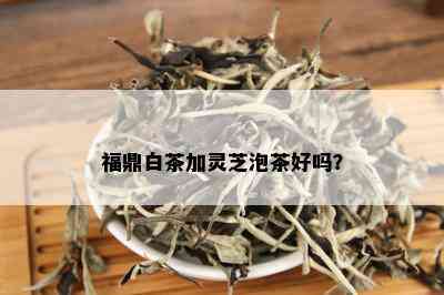 福鼎白茶加灵芝泡茶好吗？