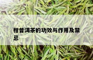 柑普洱茶的功效与作用及禁忌