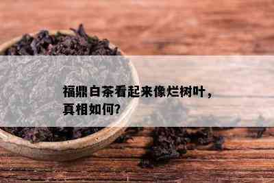 福鼎白茶看起来像烂树叶，真相如何？