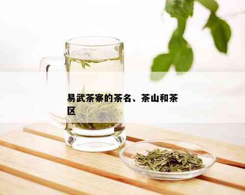 易武茶寨的茶名、茶山和茶区