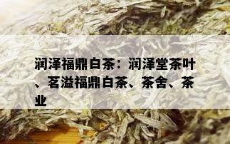 润泽福鼎白茶：润泽堂茶叶、茗溢福鼎白茶、茶舍、茶业