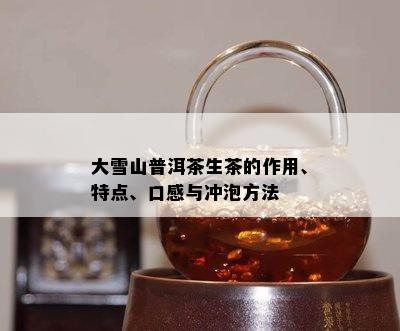 大雪山普洱茶生茶的作用、特点、口感与冲泡方法