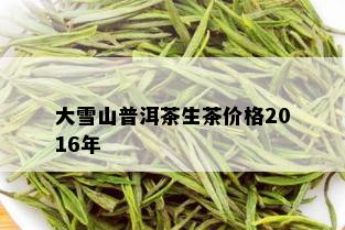 大雪山普洱茶生茶价格2016年