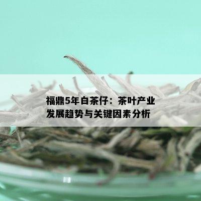 福鼎5年白茶仔：茶叶产业发展趋势与关键因素分析