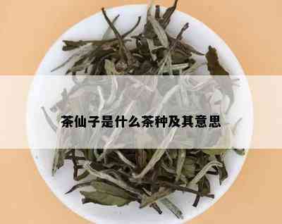 茶仙子是什么茶种及其意思