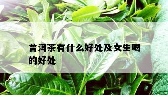 普洱茶有什么好处及女生喝的好处