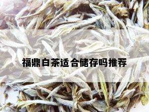 福鼎白茶适合储存吗推荐