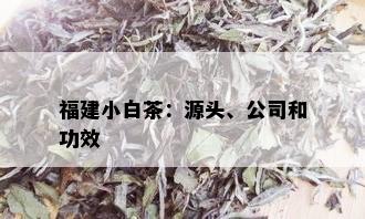 福建小白茶：源头、公司和功效