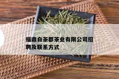 福鼎白茶郡茶业有限公司招聘及联系方式