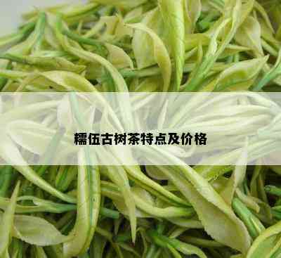 糯伍古树茶特点及价格