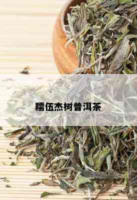 糯伍杰树普洱茶