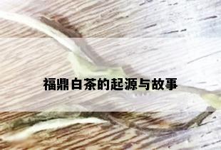 福鼎白茶的起源与故事