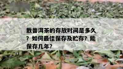 散普洱茶的存放时间是多久？如何更佳保存及贮存？能保存几年？