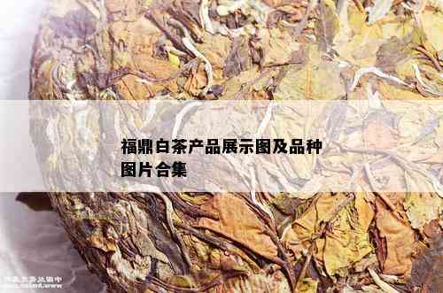 福鼎白茶产品展示图及品种图片合集