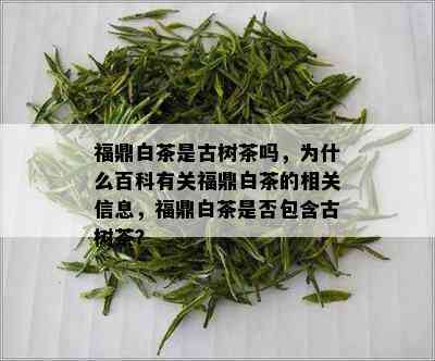 福鼎白茶是古树茶吗，为什么百科有关福鼎白茶的相关信息，福鼎白茶是否包含古树茶？