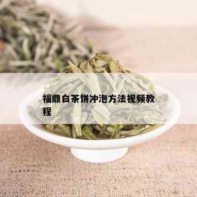 福鼎白茶饼冲泡方法视频教程