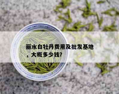 丽水白牡丹费用及批发基地，大概多少钱？