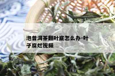 泡普洱茶翻叶底怎么办-叶子腐烂视频