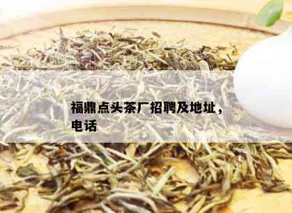 福鼎点头茶厂招聘及地址，电话