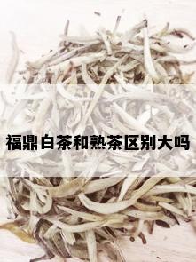 福鼎白茶和熟茶区别大吗