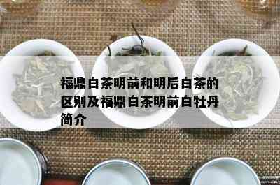 福鼎白茶明前和明后白茶的区别及福鼎白茶明前白牡丹简介