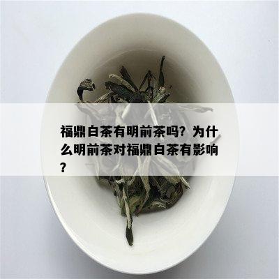 福鼎白茶有明前茶吗？为什么明前茶对福鼎白茶有影响？