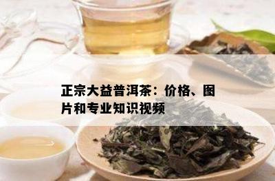 正宗大益普洱茶：价格、图片和专业知识视频