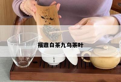 福鼎白茶九乌茶叶