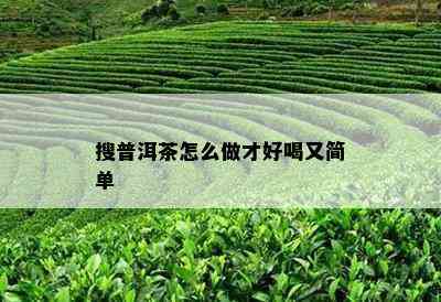 搜普洱茶怎么做才好喝又简单