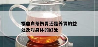 福鼎白茶伤胃还是养胃的益处及对身体的好处