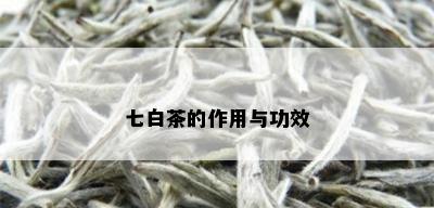 七白茶的作用与功效