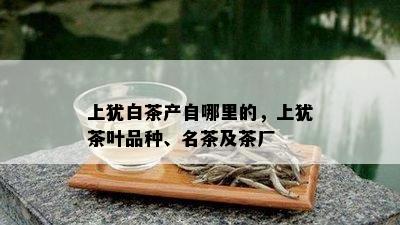 上犹白茶产自哪里的，上犹茶叶品种、名茶及茶厂