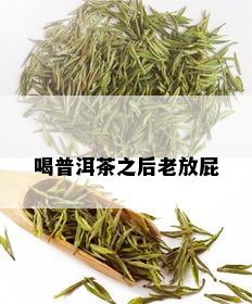 喝普洱茶之后老放屁