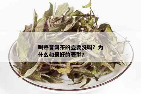 喝熟普洱茶的壶要洗吗？为什么和更好的壶型？