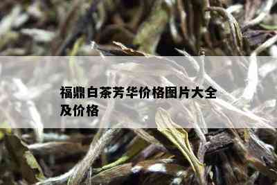 福鼎白茶芳华价格图片大全及价格