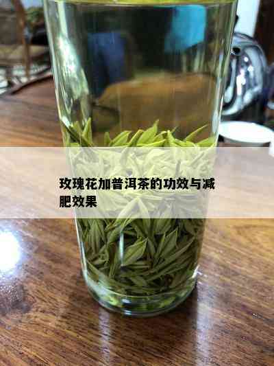 玫瑰花加普洱茶的功效与减肥效果