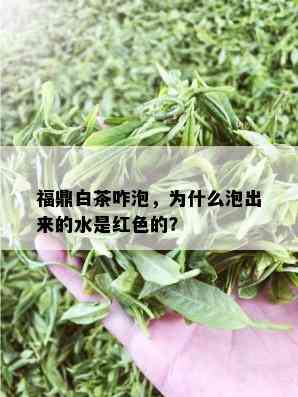 福鼎白茶咋泡，为什么泡出来的水是红色的？