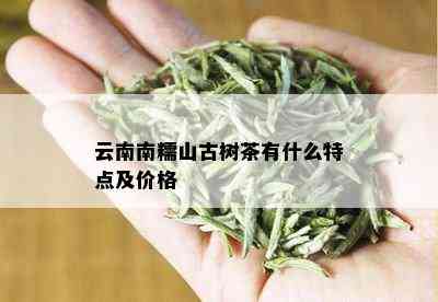 云南南糯山古树茶有什么特点及价格