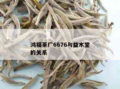 鸿福茶厂6676与益木堂的关系