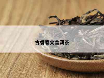 古香春尖普洱茶