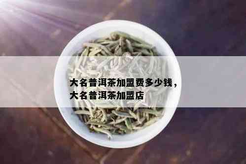 大名普洱茶加盟费多少钱，大名普洱茶加盟店