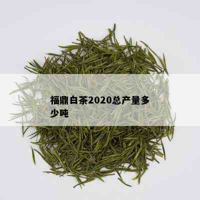 福鼎白茶2020总产量多少吨