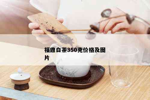 福鼎白茶350克价格及图片